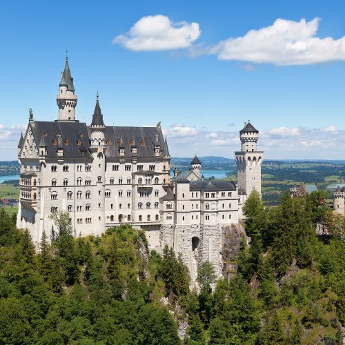 Neuschwanstein Castle above the Bavarian forest in autumn Neuschwanstein Castle above the Bavarian forest in autumn