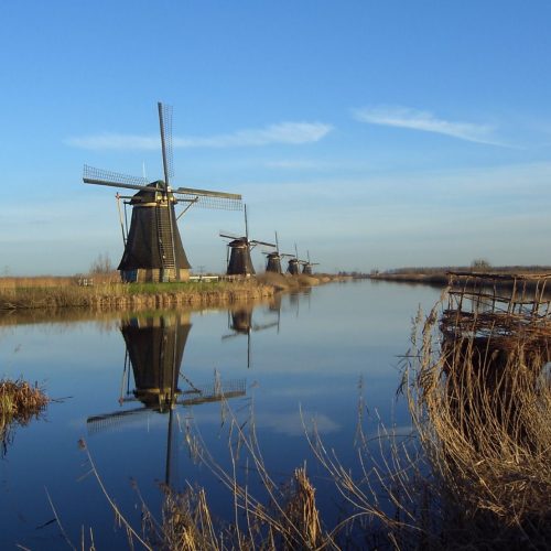 Historic windmills lining the canals of Kinderdijk in the Netherlands