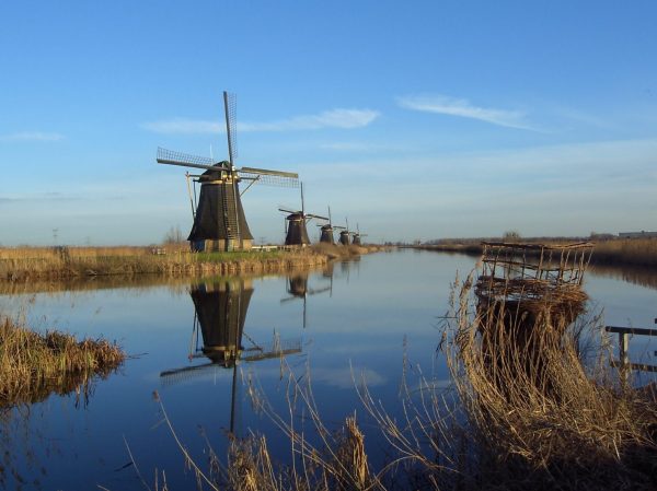 Historic windmills lining the canals of Kinderdijk in the Netherlands Historic windmills lining the canals of Kinderdijk in the Netherlands